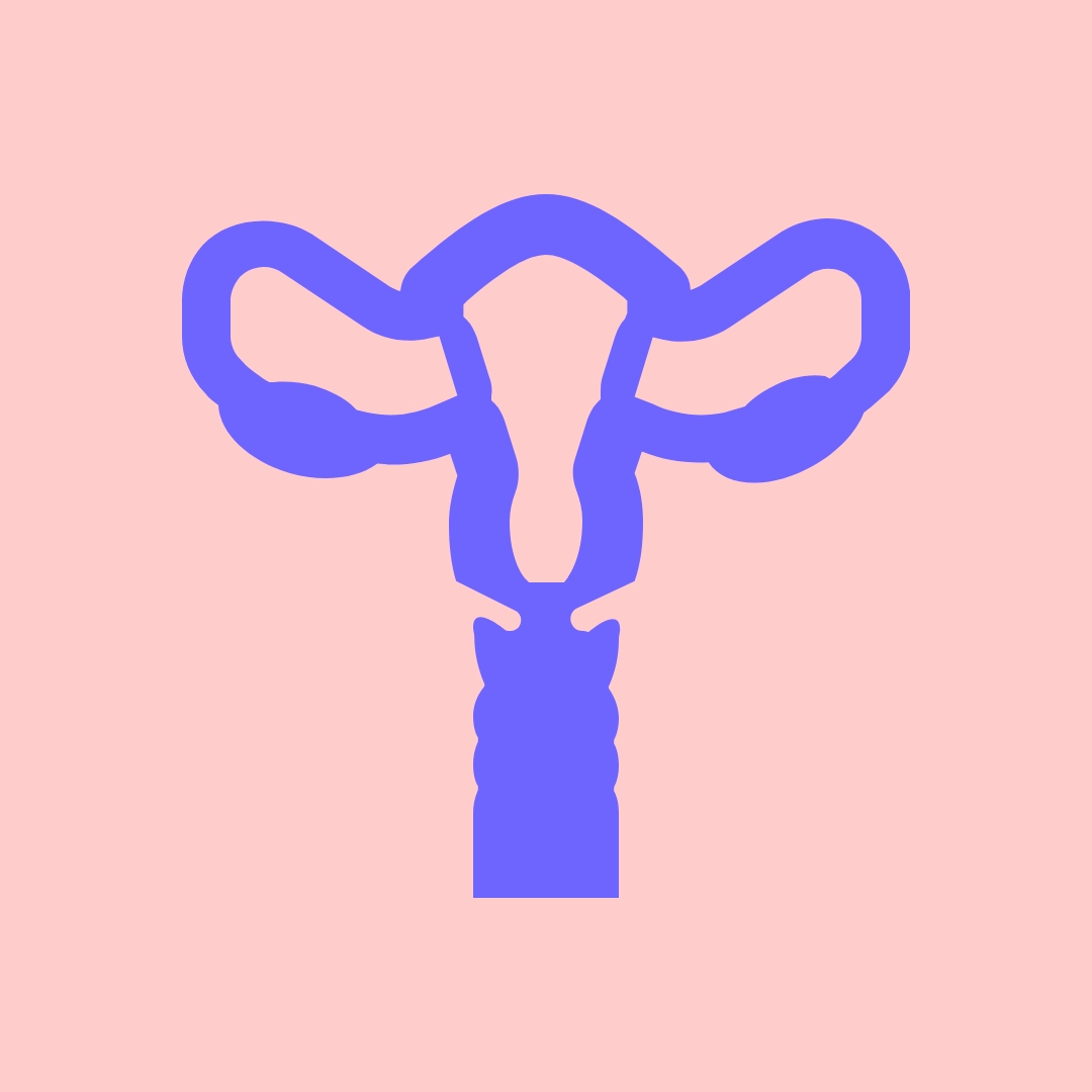 Gynecology গাইনি ডাক্তার